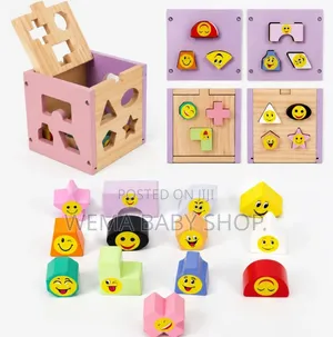 Montessori Wooden Shape Sorter and Emotion Matching Box