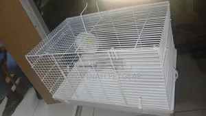 Metal Wire Pet Cage With a Removable Plastic Base Tray, Bottle, Wheel