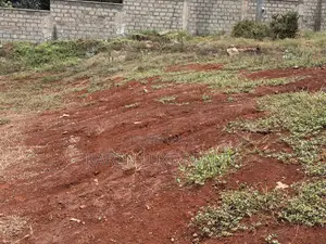 Karen 1acre for Sale Treelane 100M