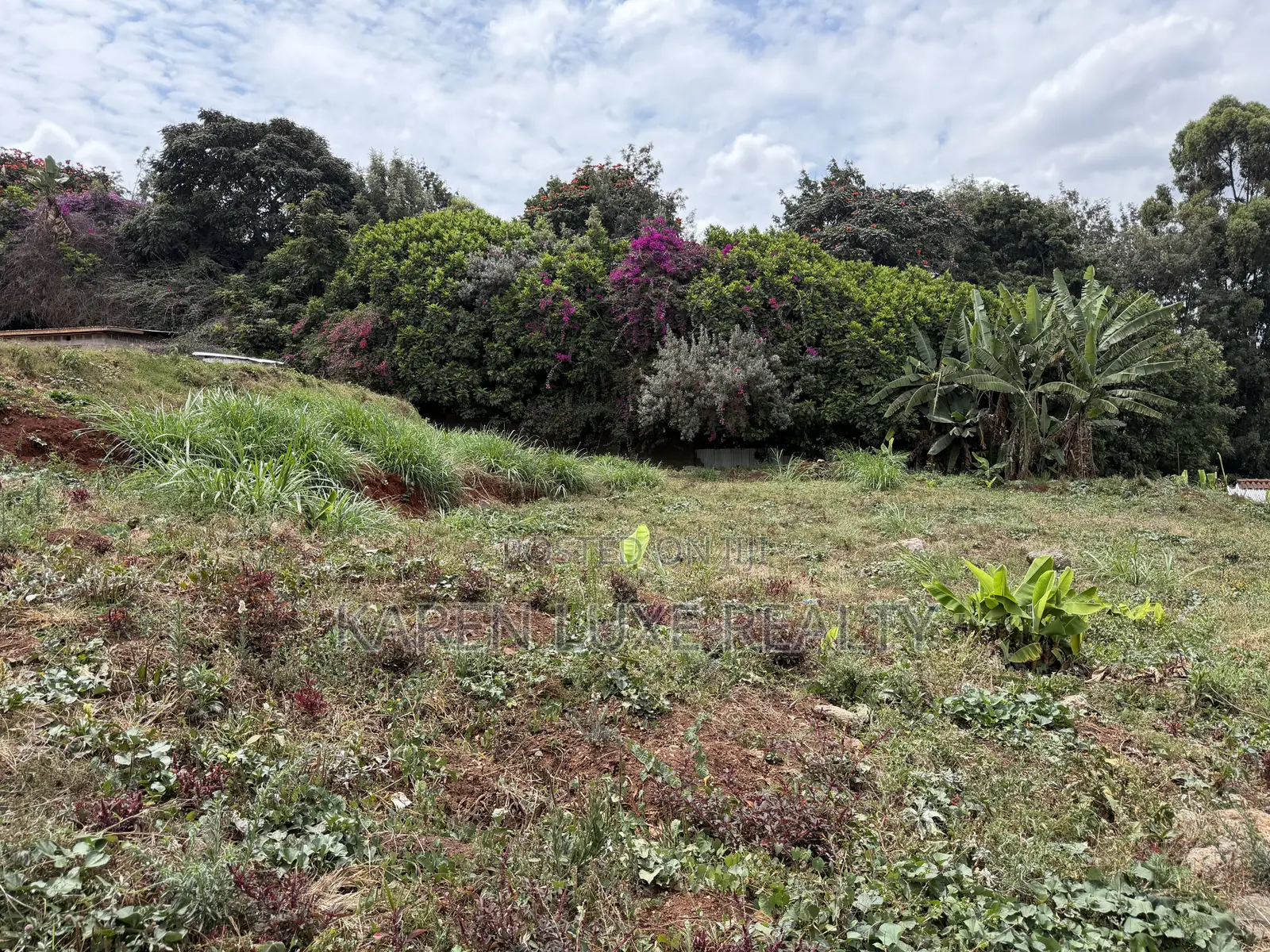 Karen 1acre for Sale Treelane 100M