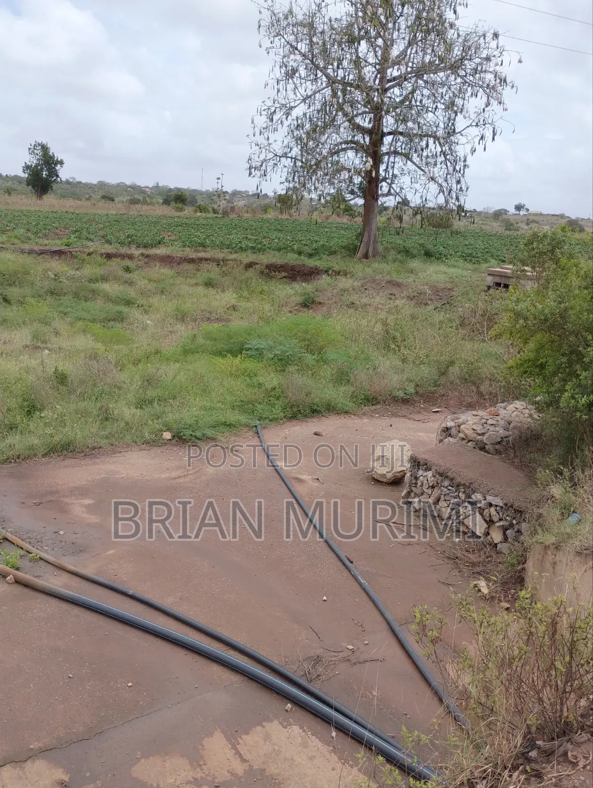 Baolala 100 Acres at 