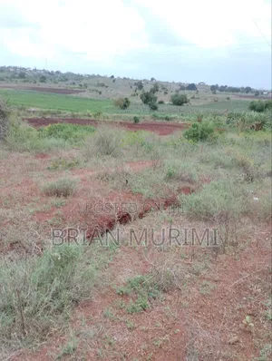 Baolala 100 Acres at 