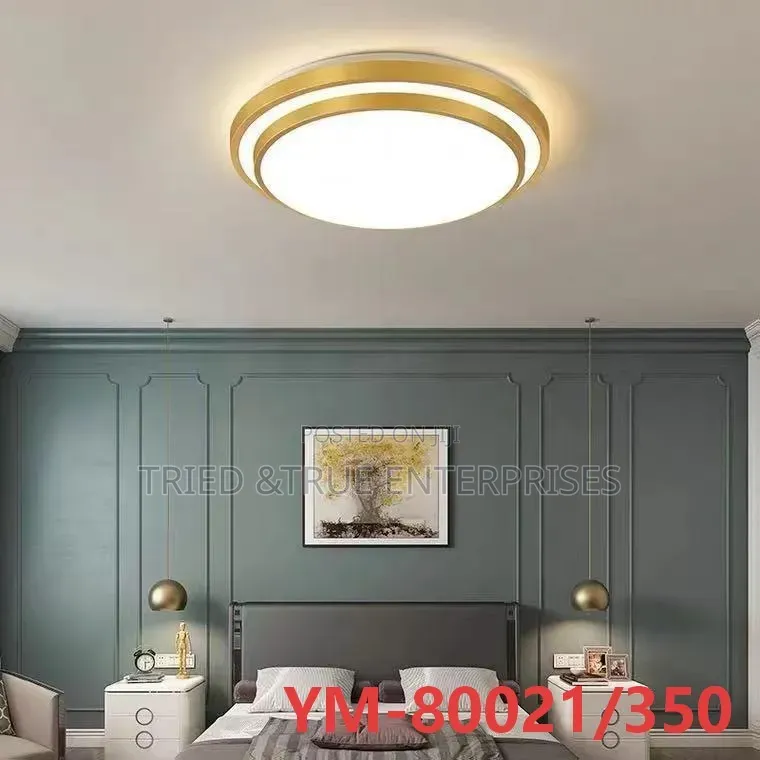Unique Ceiling Lights XWDZ