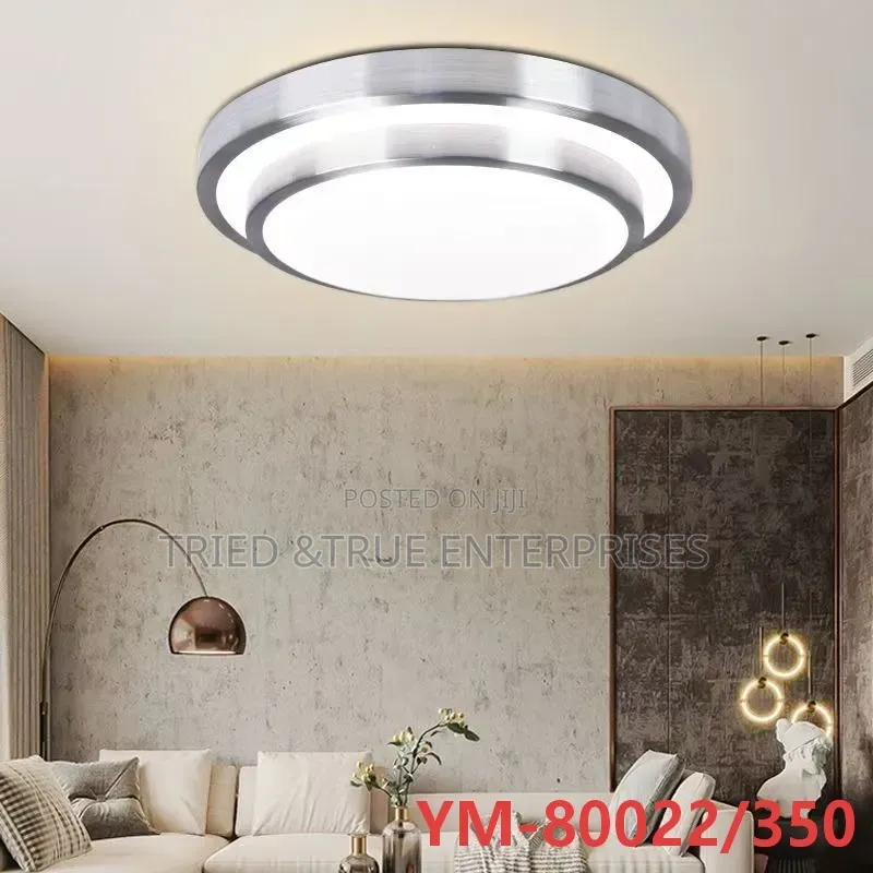 Unique Ceiling Lights XWDZ