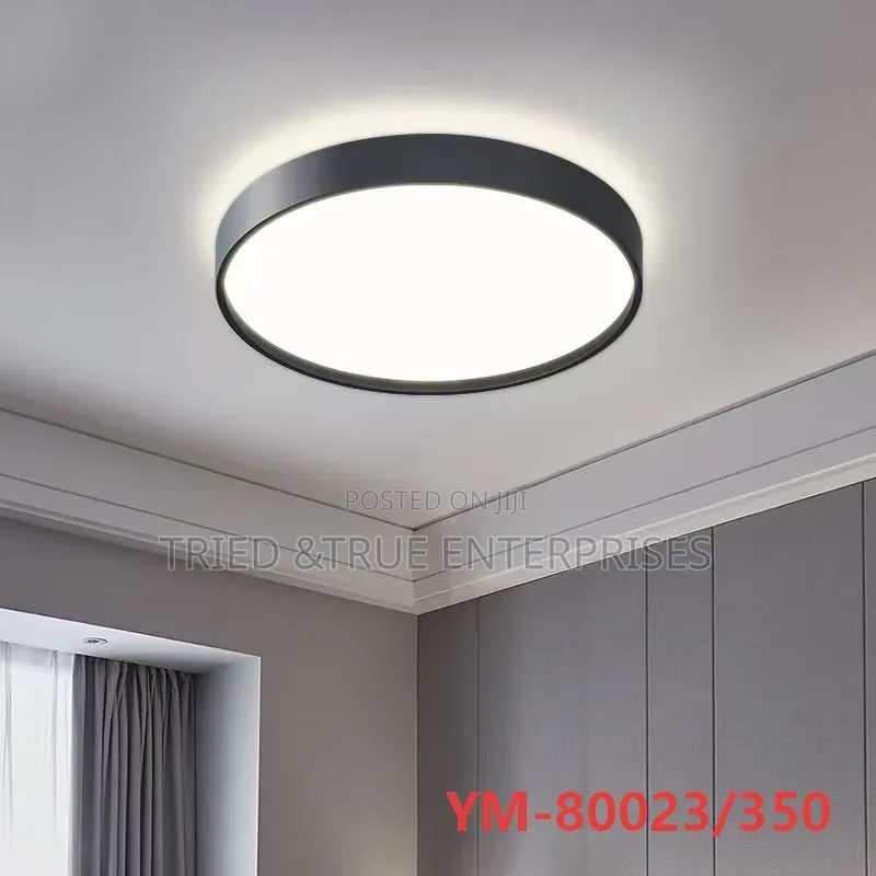 Unique Ceiling Lights XWDZ