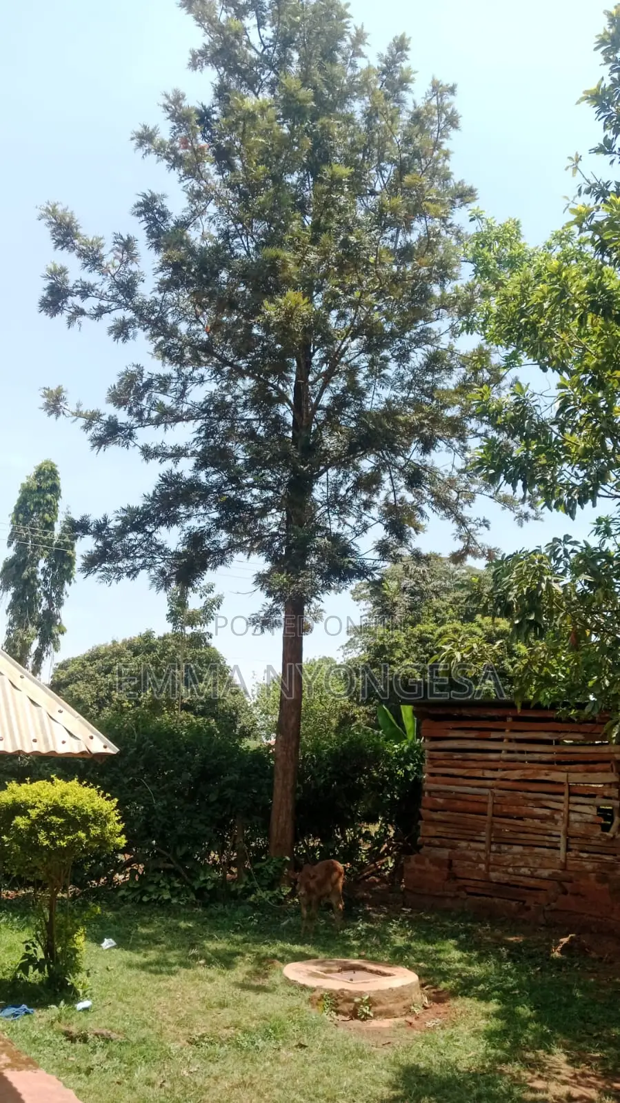 0.08 Ha Prime Land for Sale in Busia With Ready TITLE DEED