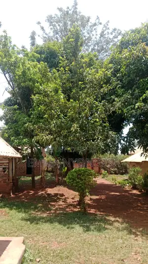 0.08 Ha Prime Land for Sale in Busia With Ready TITLE DEED