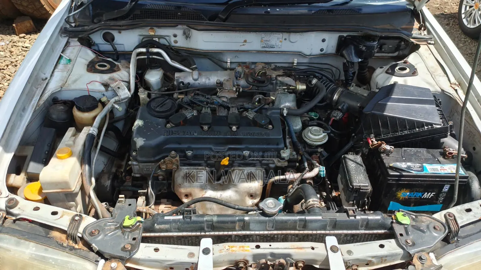 Nissan FB15 2004 White
