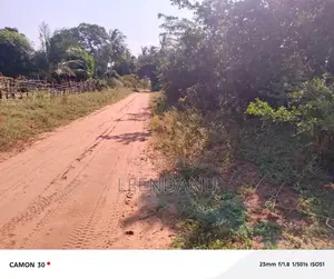 1/4 Acre for Sale