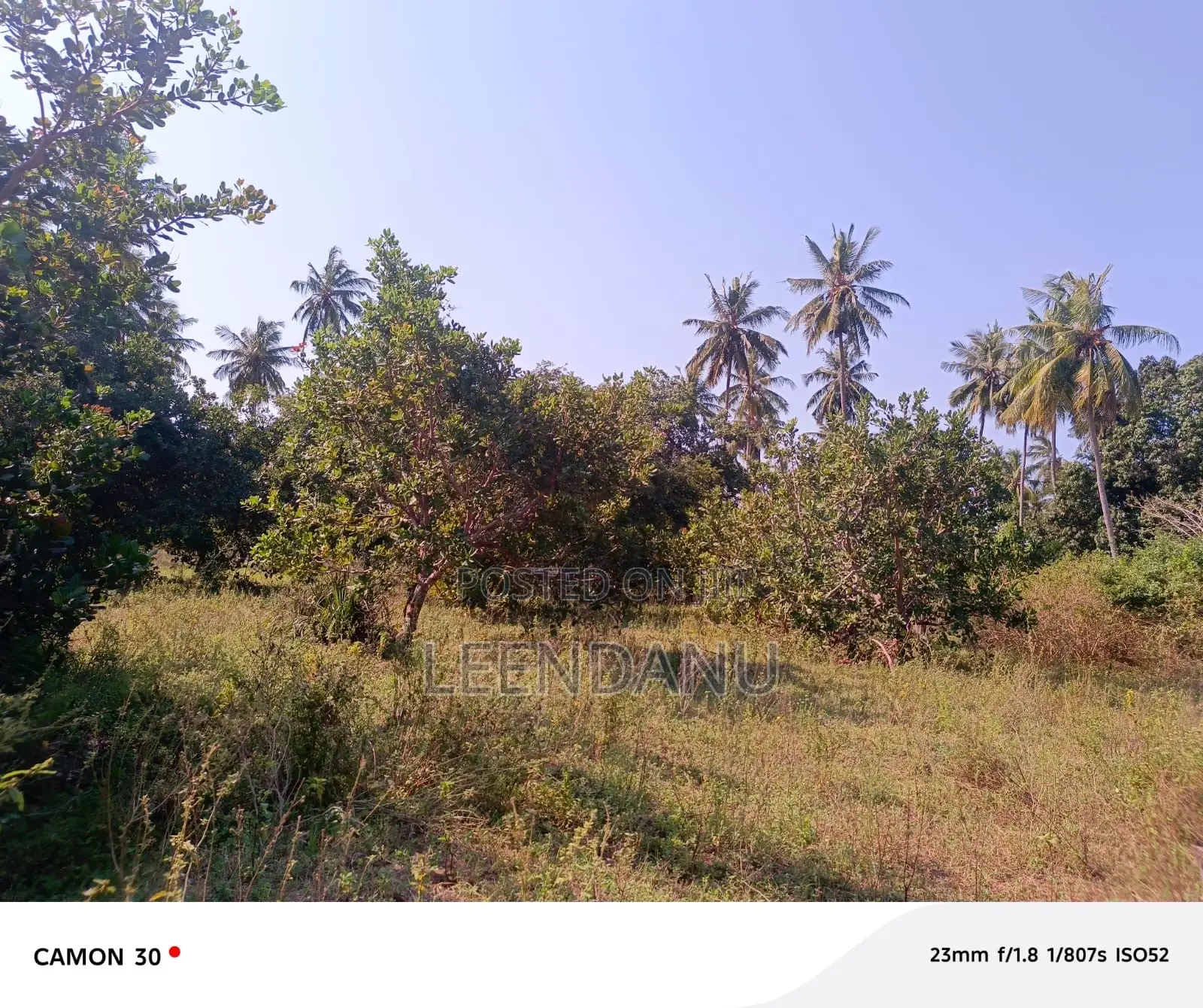 1/4 Acre for Sale