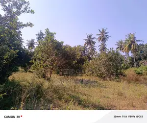 1/4 Acre for Sale