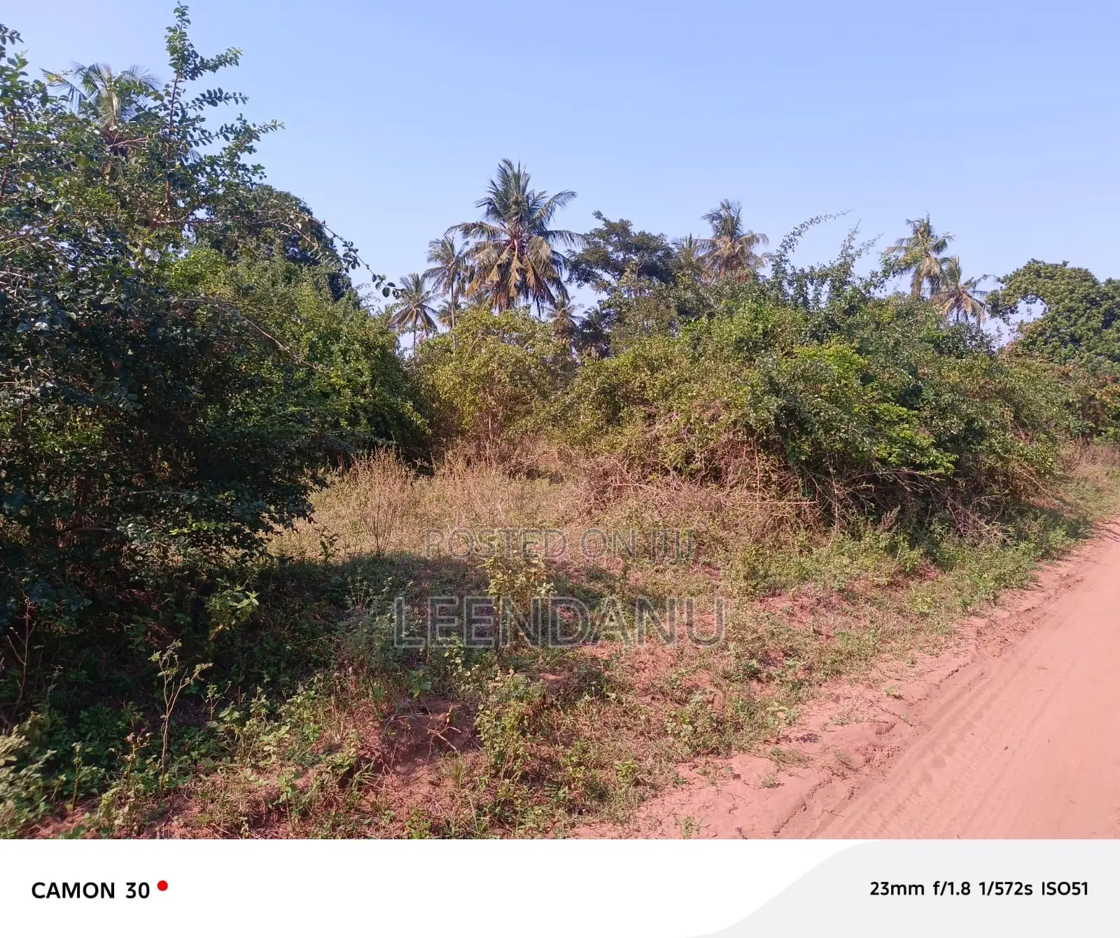 1/4 Acre for Sale