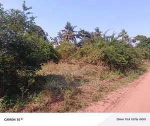 1/4 Acre for Sale