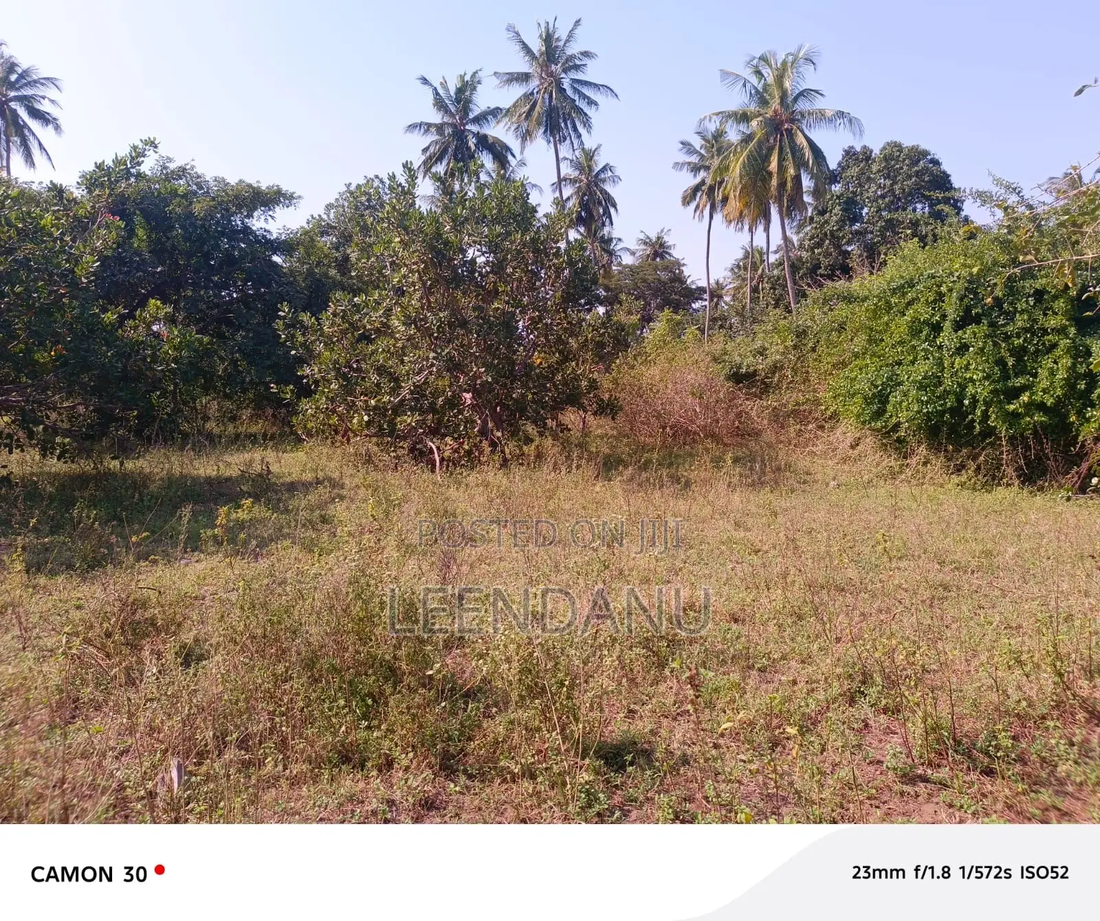 1/4 Acre for Sale