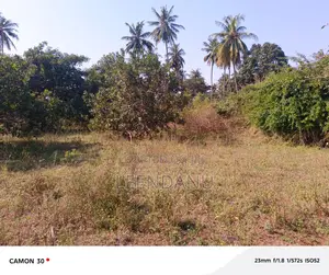 1/4 Acre for Sale