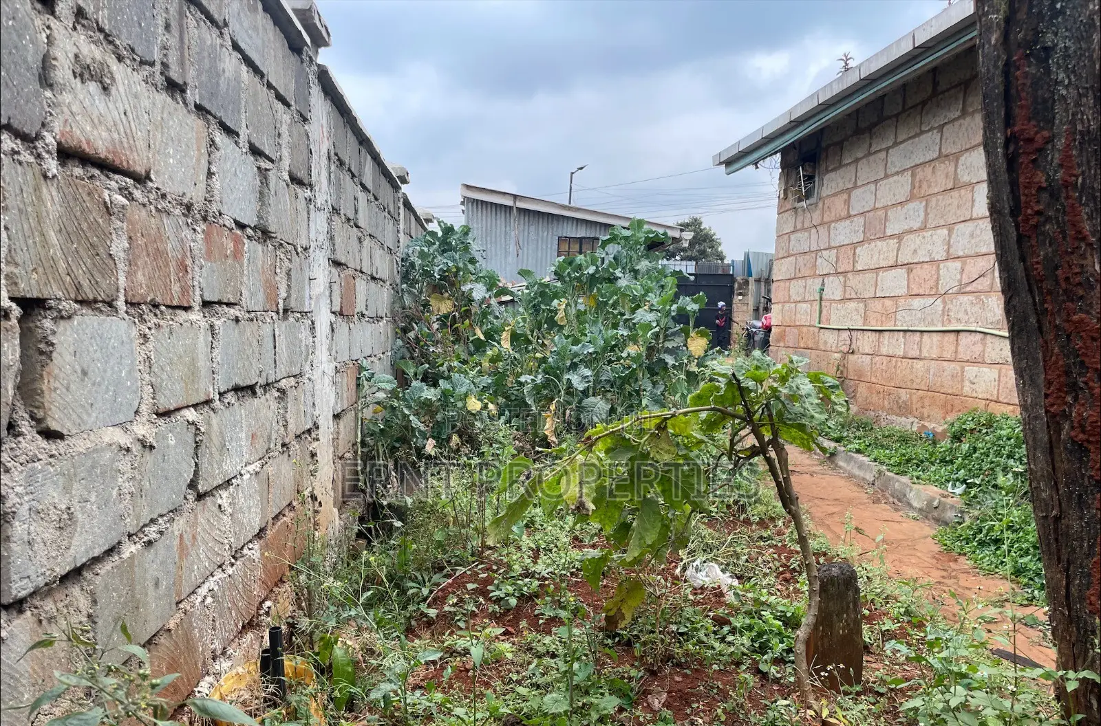 3bdrm Bungalow in Riruta for sale