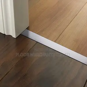 Door Transition Strip