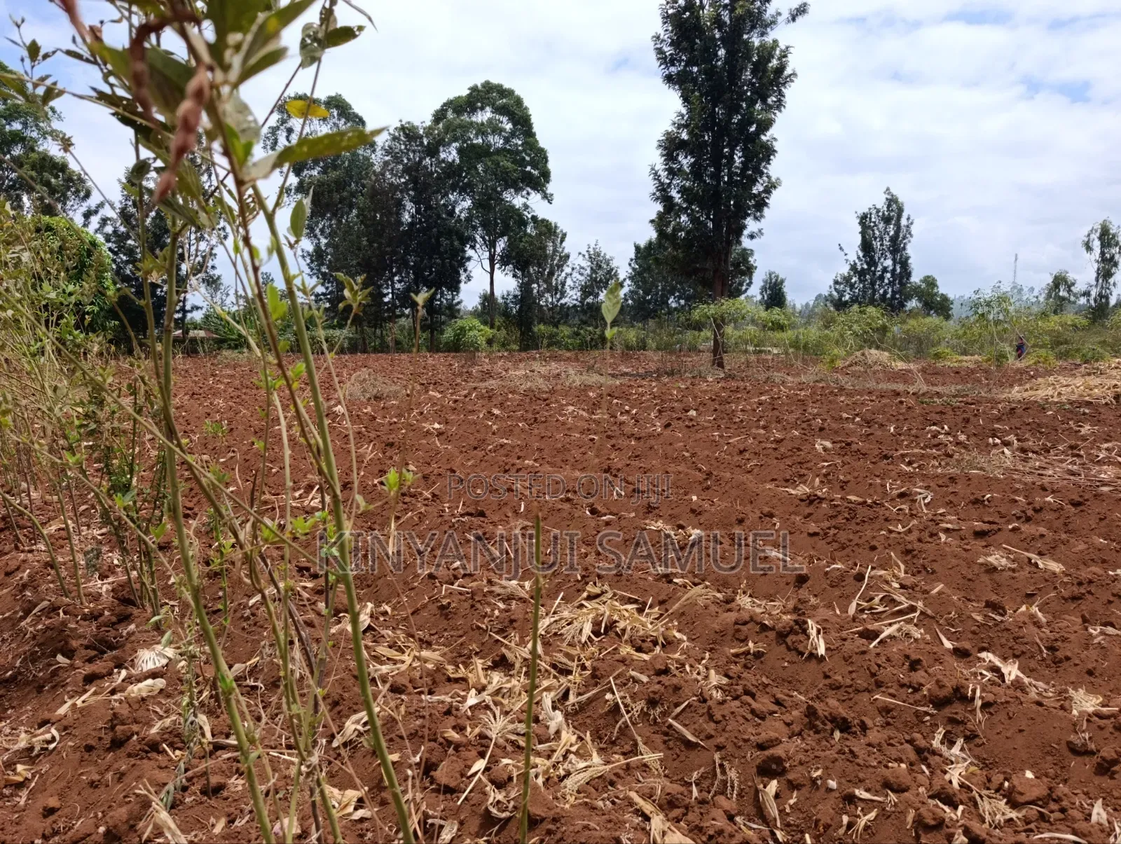 One Acre for Sale in Makuyu Ciumbu Market.