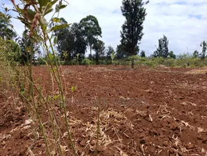 One Acre for Sale in Makuyu Ciumbu Market.