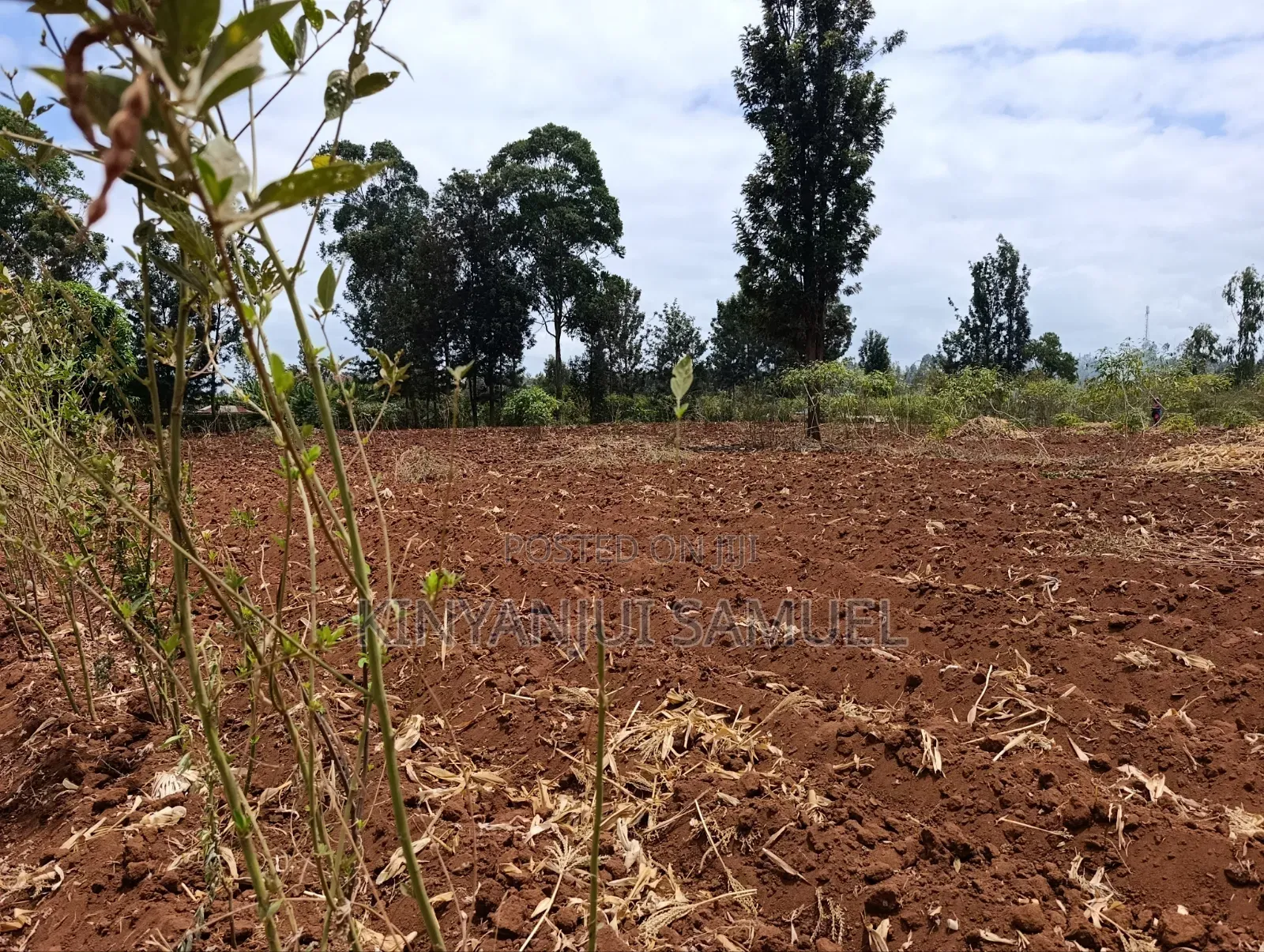 One Acre for Sale in Makuyu Ciumbu Market.