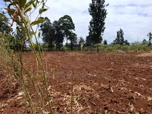 One Acre for Sale in Makuyu Ciumbu Market.
