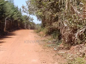 Half an Acre for Sale in Marema Makuyu