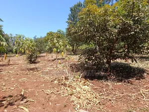 Half an Acre for Sale in Marema Makuyu