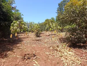 Half an Acre for Sale in Marema Makuyu
