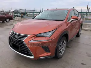 Lexus NX 300 AWD 2019 Orange