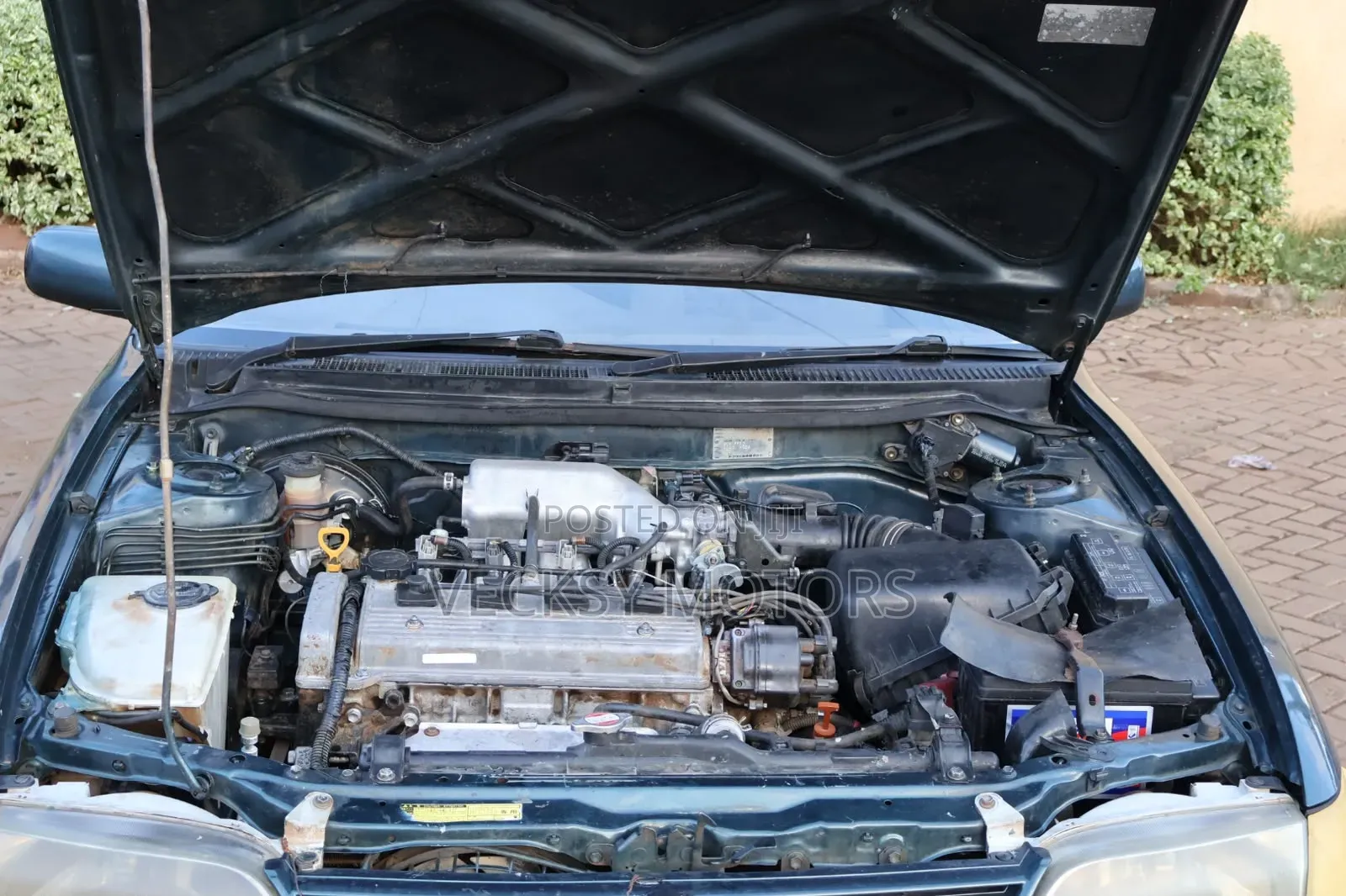 Toyota Corolla 2000 Green