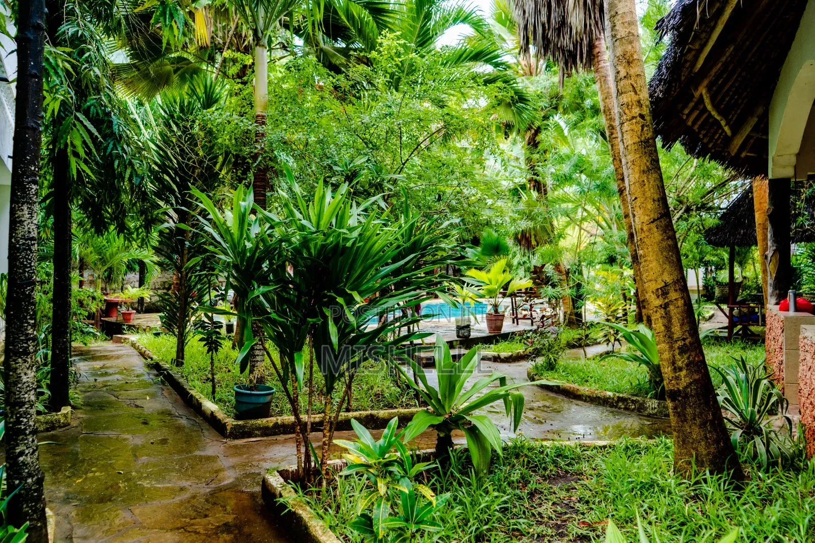 A Studio Apartment in Diani