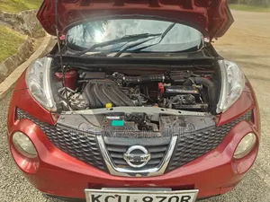 Nissan Juke 2011 Red
