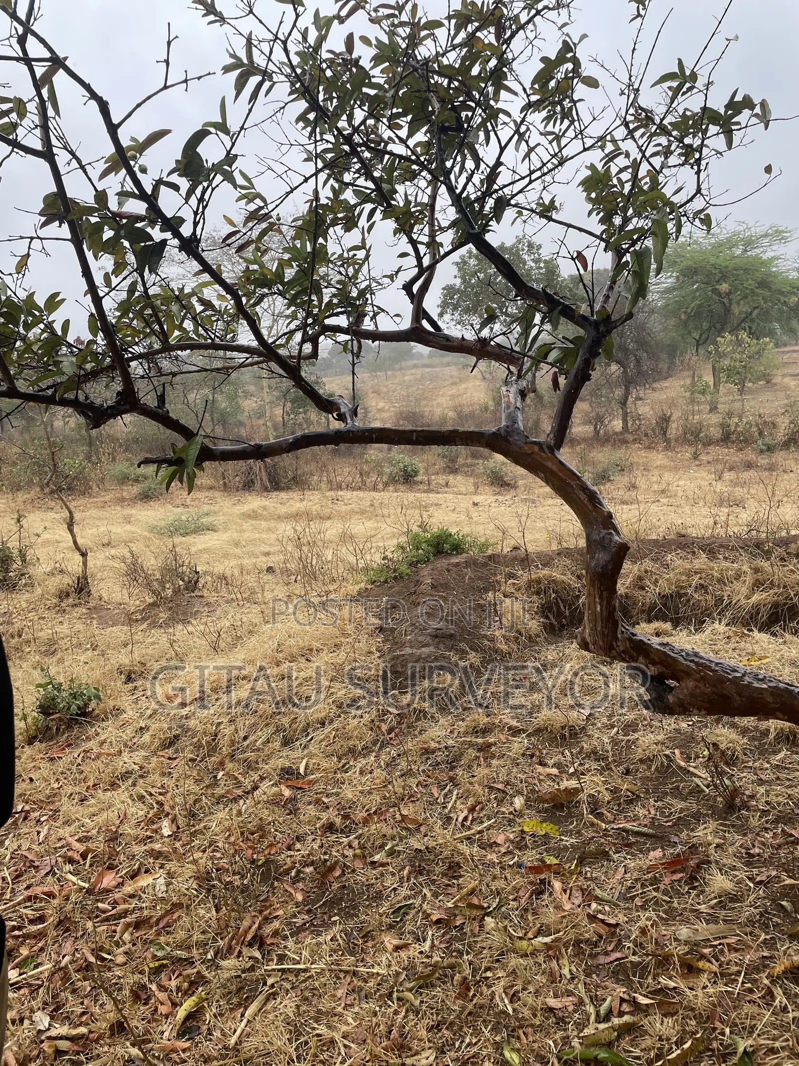1 Acre Land Mwala Mathunthini