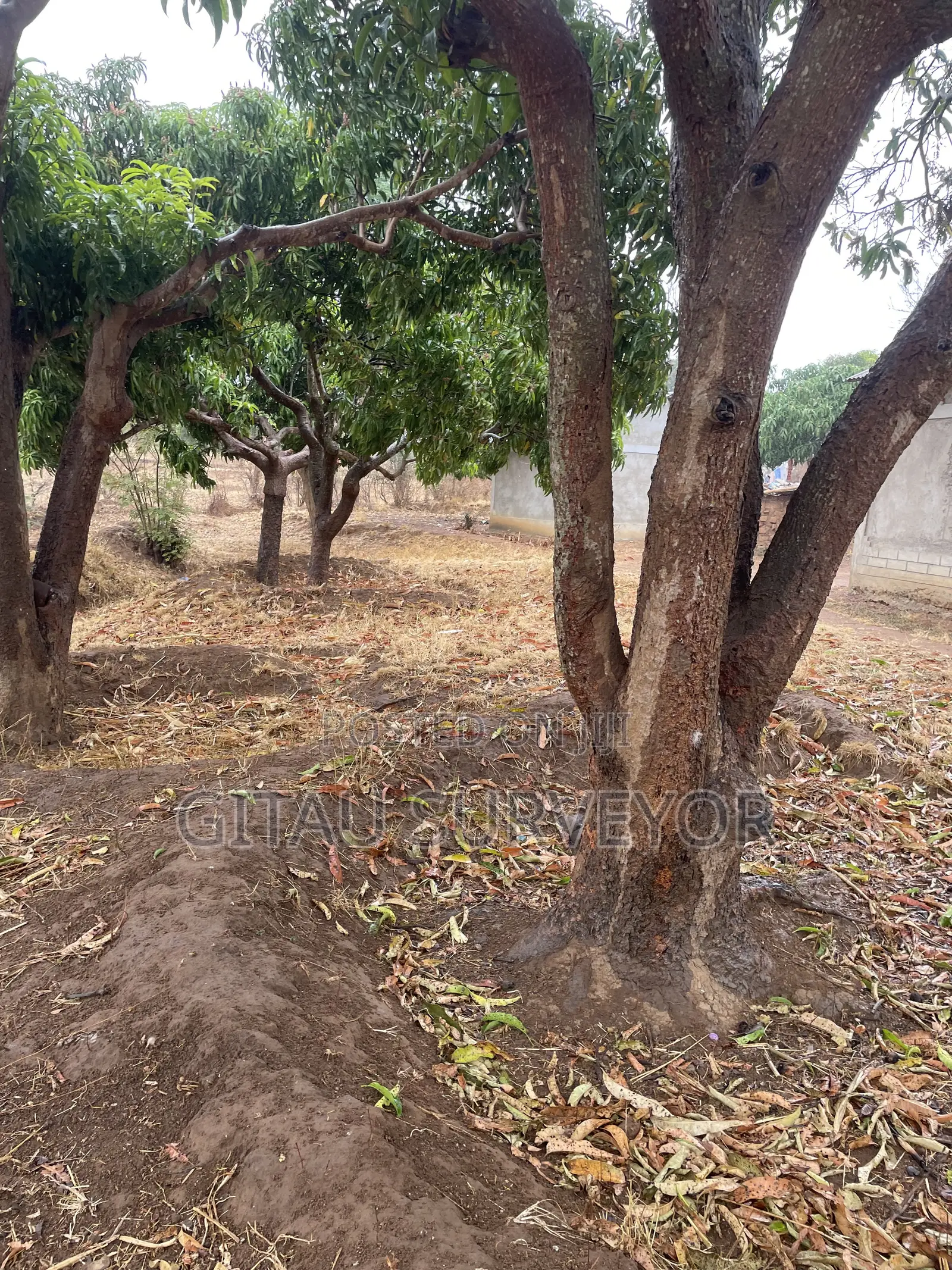 1 Acre Land Mwala Mathunthini