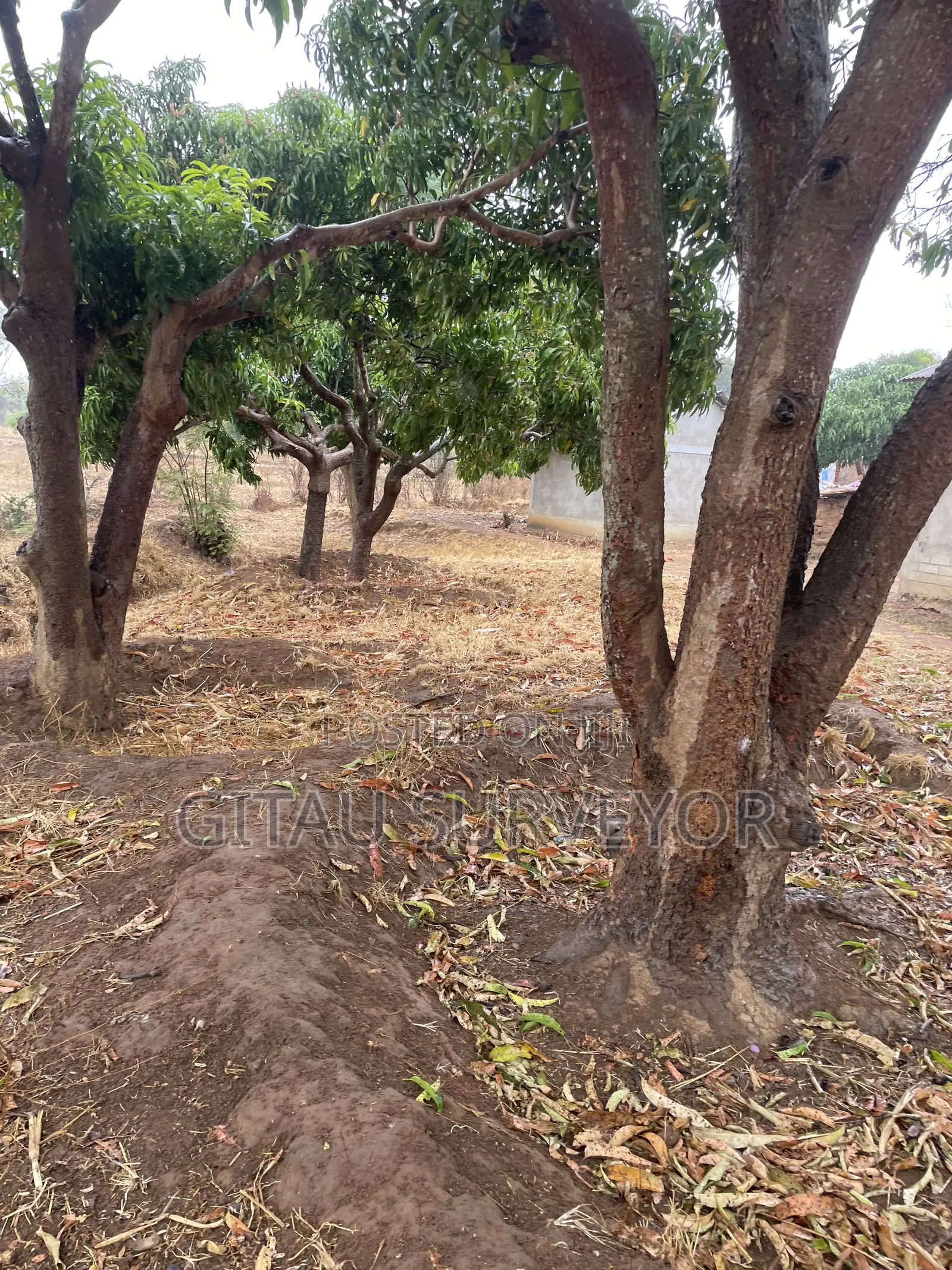 1 Acre Land Mwala Mathunthini