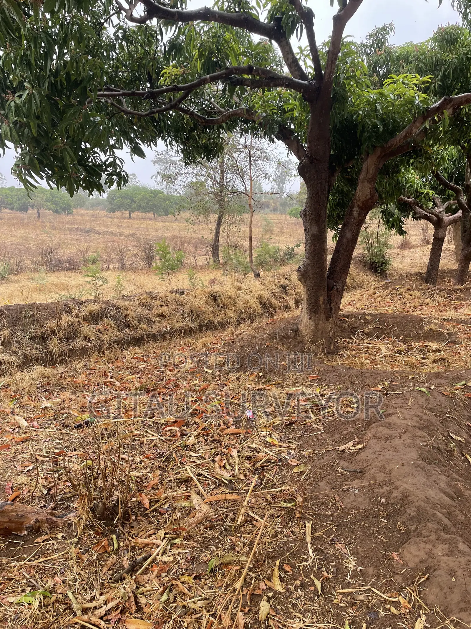 1 Acre Land Mwala Mathunthini