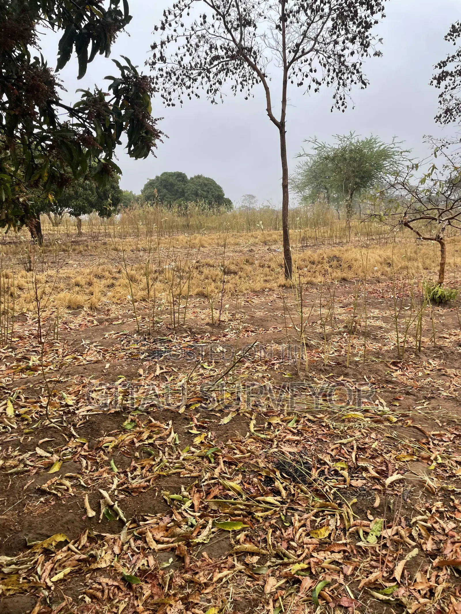 1 Acre Land Mwala Mathunthini