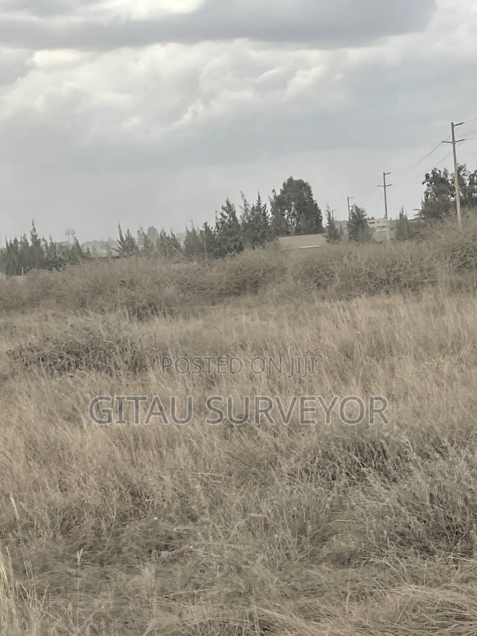 50*100 Plots at Katani