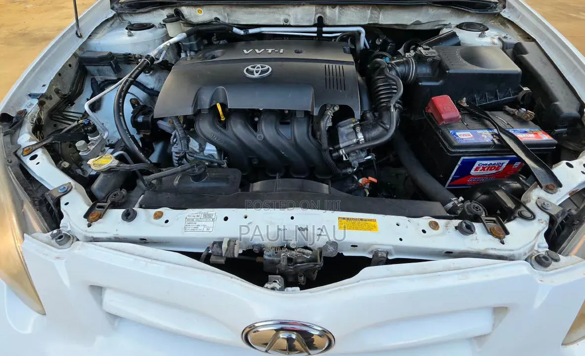 Toyota Allex 2004 White