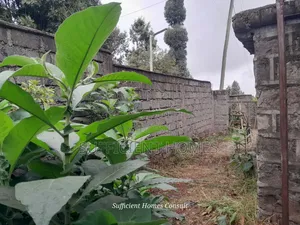 3bdrm House in Banana for rent