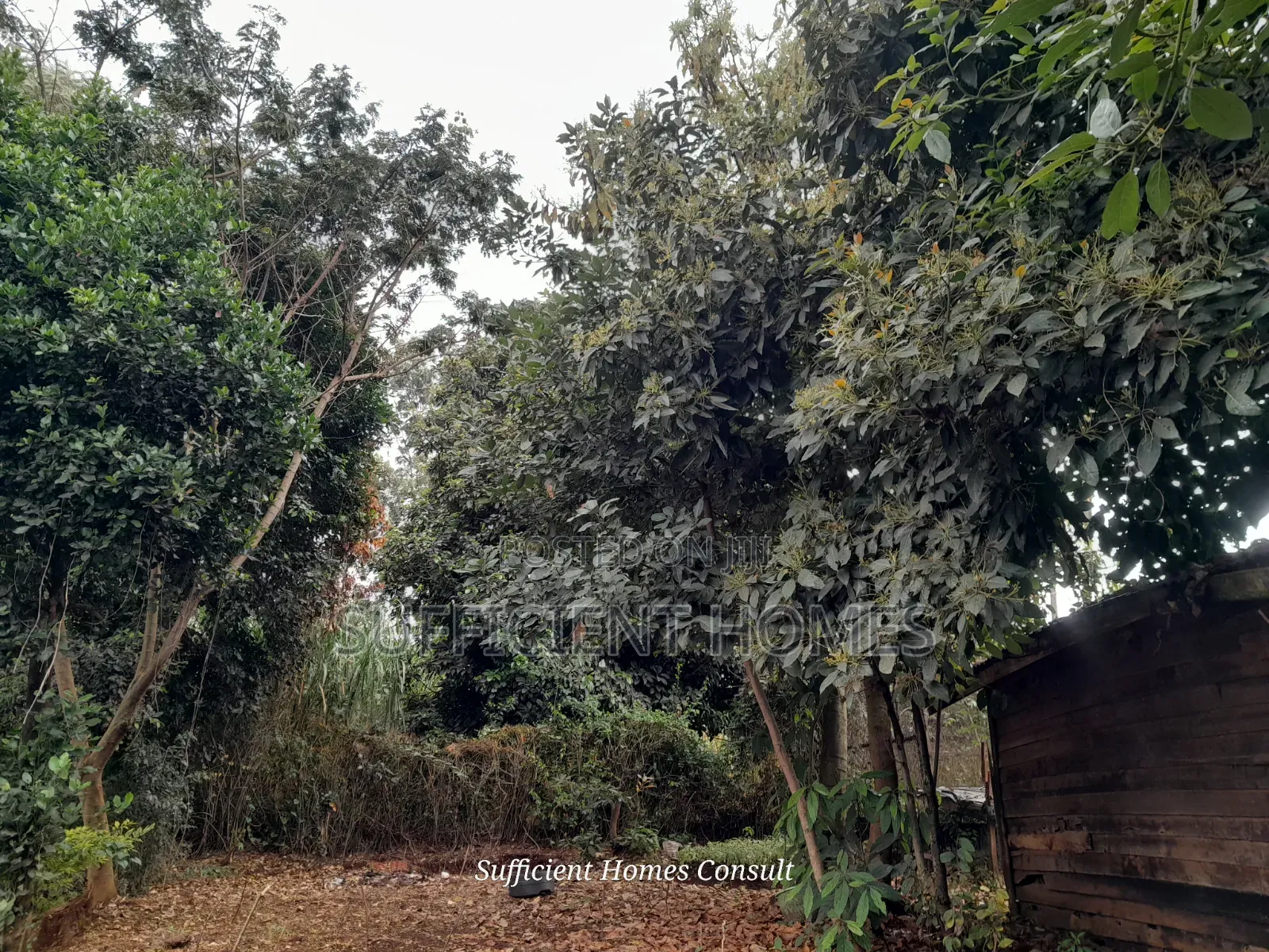 3bdrm House in Banana for rent
