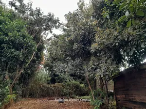 3bdrm House in Banana for rent
