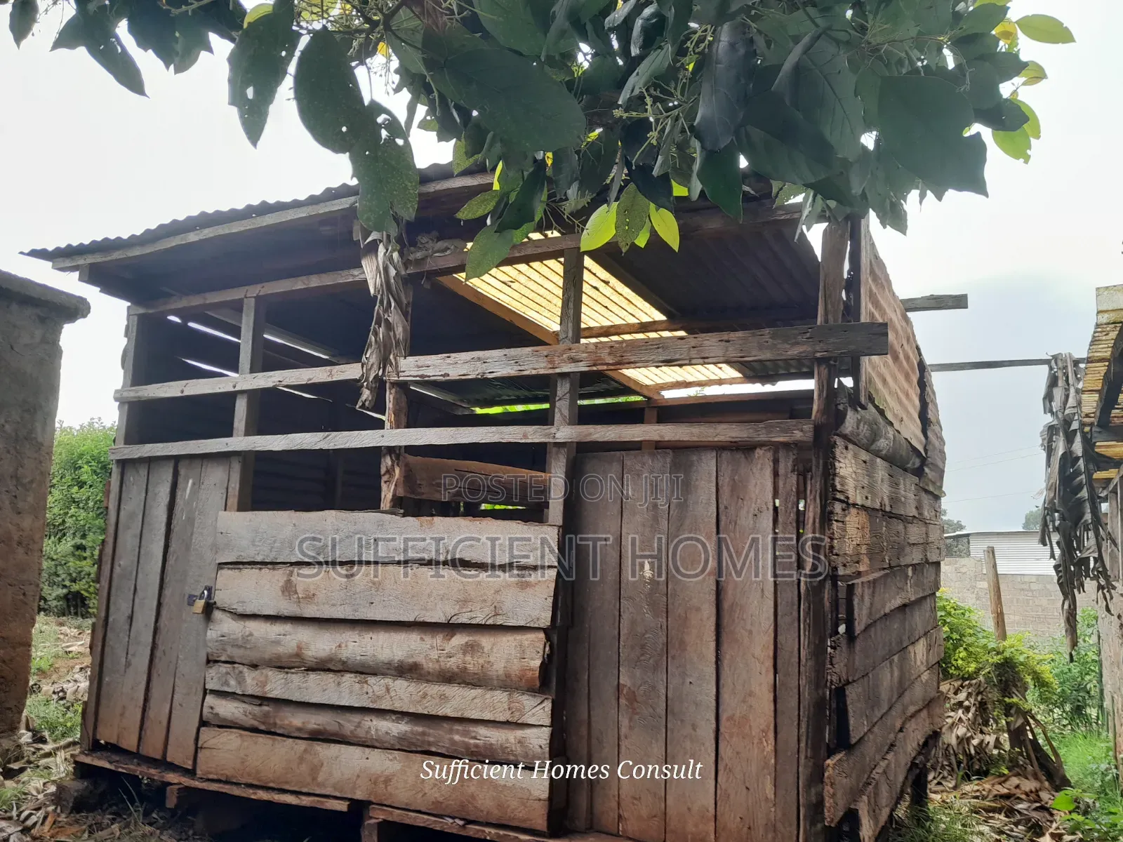 3bdrm House in Banana for rent