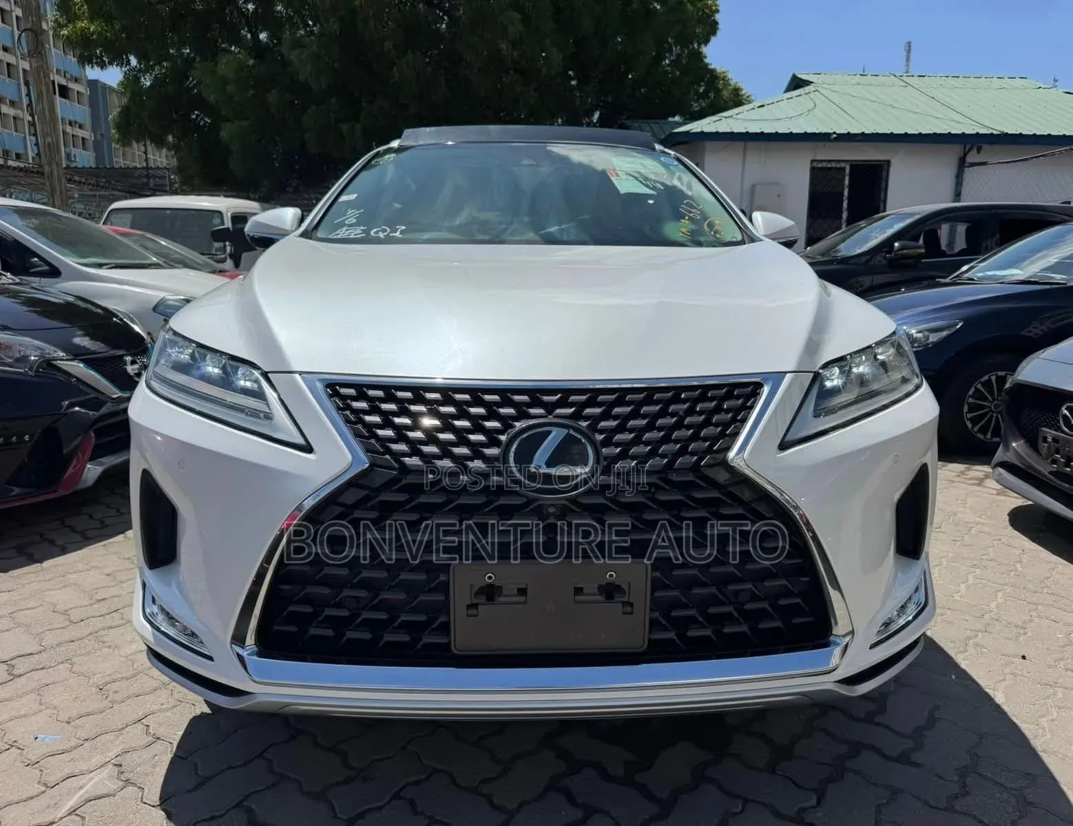 Lexus RX 300 4WD 2019 Pearl
