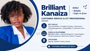 Customer Service and IT Support Professional
