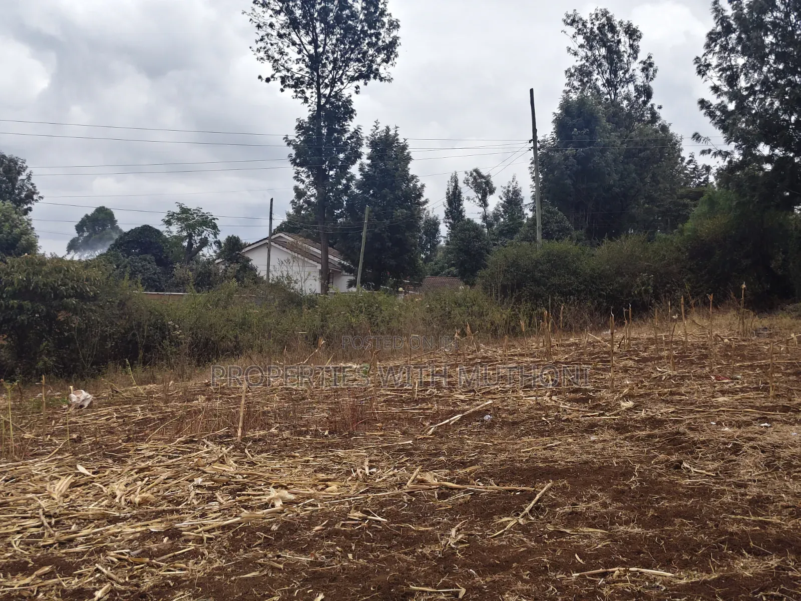 1 and 1/2 Acres for Sale in Olkeri for Sale.