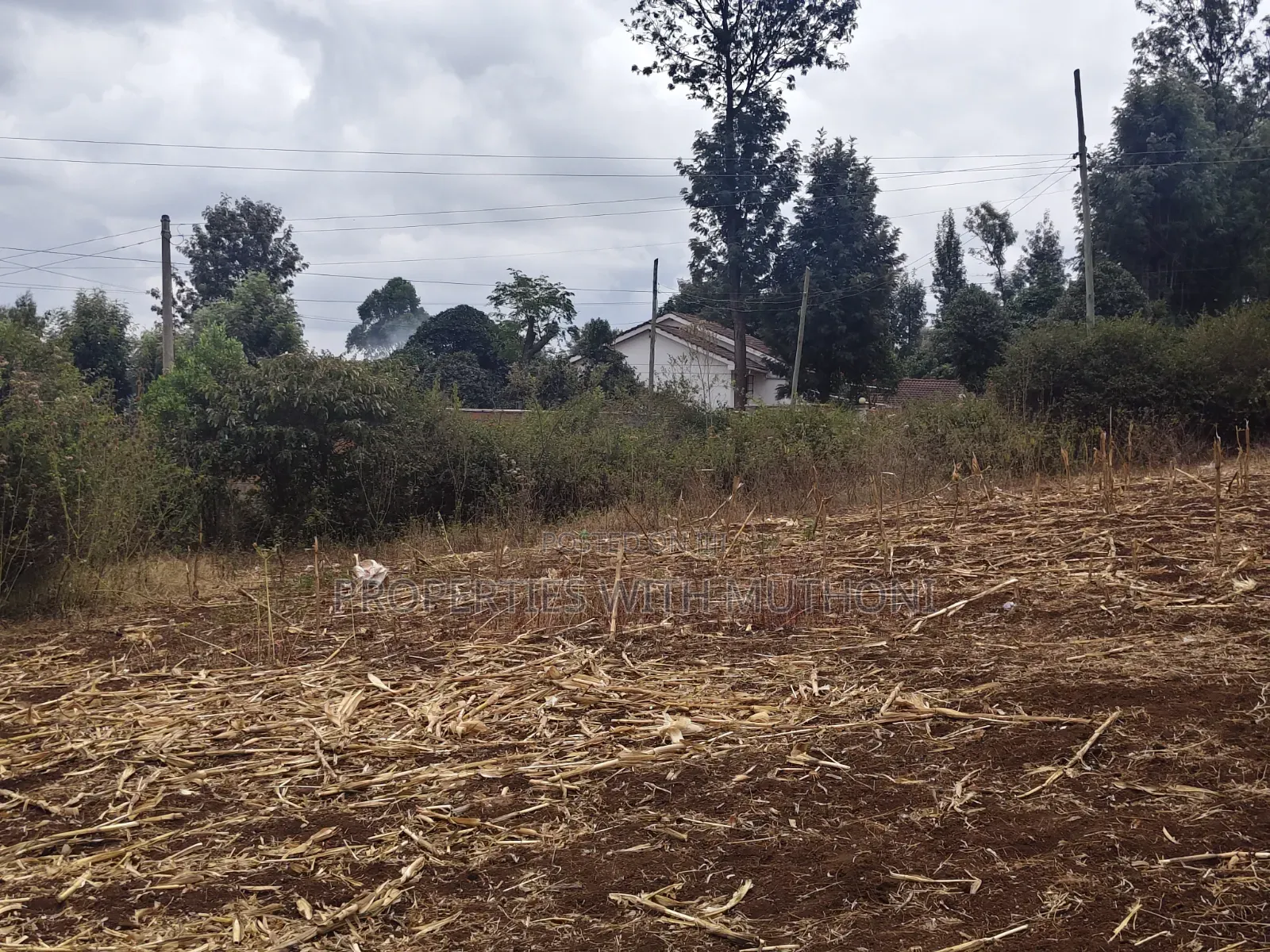 1 and 1/2 Acres for Sale in Olkeri for Sale.