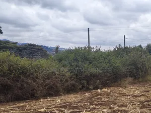 1 and 1/2 Acres for Sale in Olkeri for Sale.