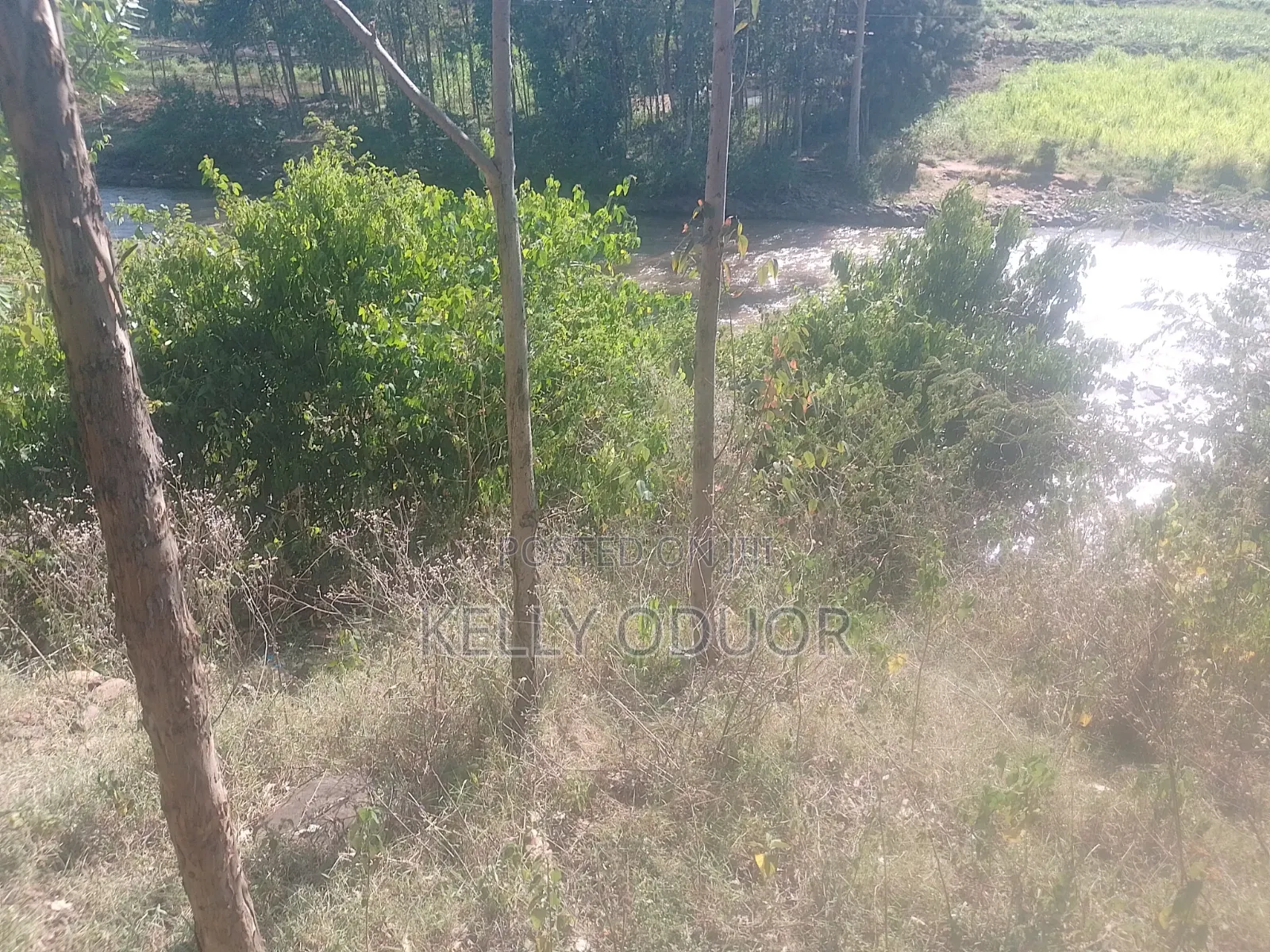 1/2 Acre Land for Sale Nyakach