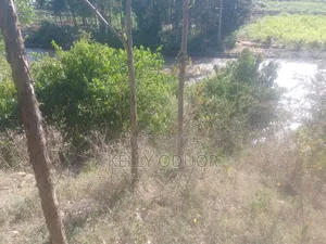 1/2 Acre Land for Sale Nyakach